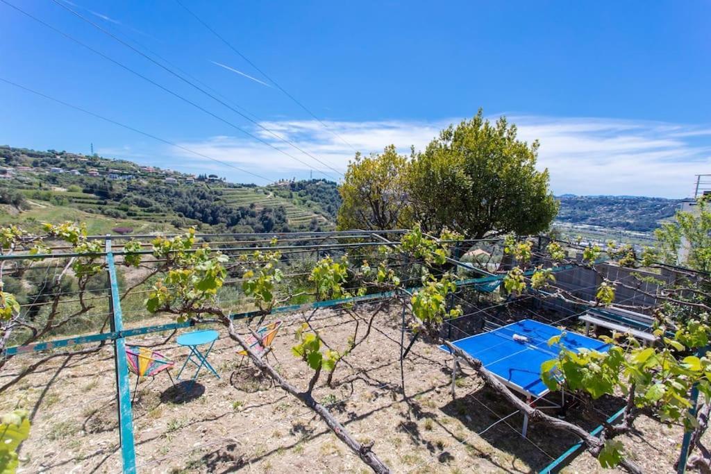 Echapee Belle - Vinayard View - Jacuzzi Bbq - Parking Apartment Nice Bagian luar foto