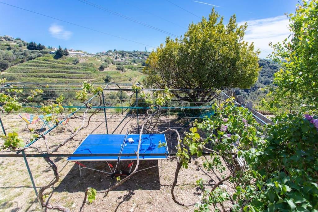 Echapee Belle - Vinayard View - Jacuzzi Bbq - Parking Apartment Nice Bagian luar foto