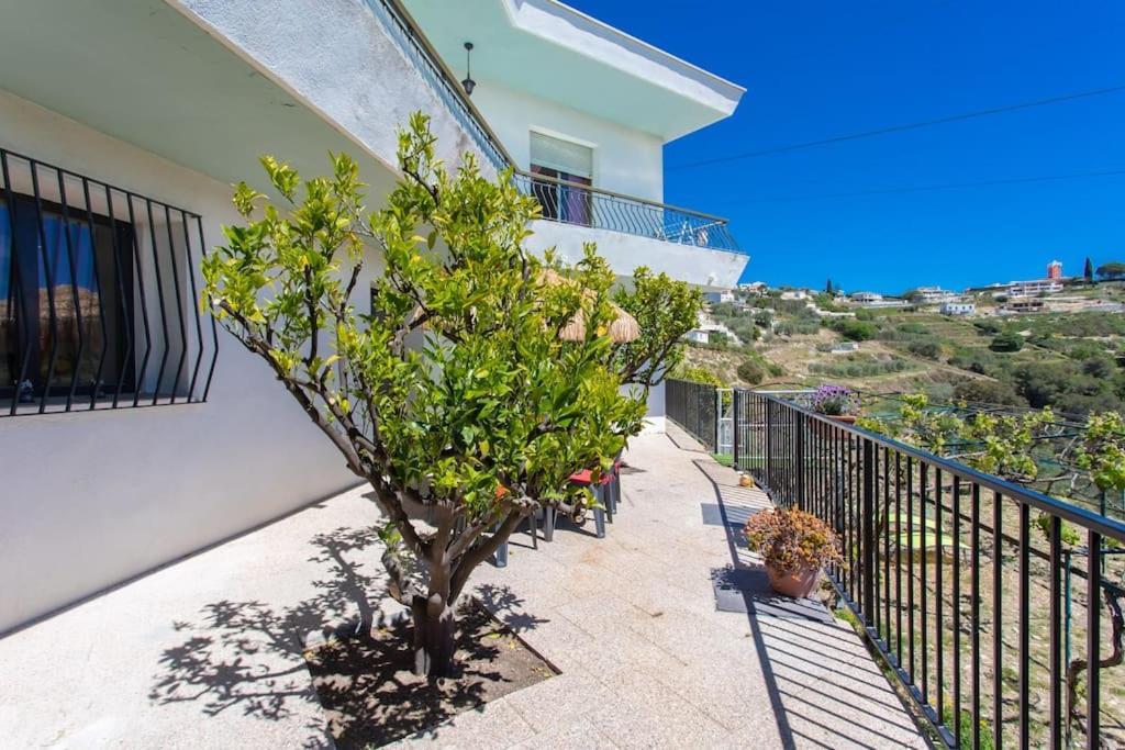 Echapee Belle - Vinayard View - Jacuzzi Bbq - Parking Apartment Nice Bagian luar foto