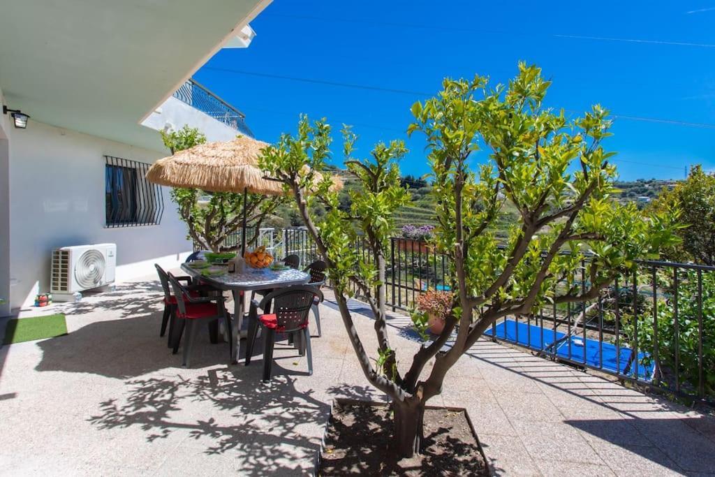 Echapee Belle - Vinayard View - Jacuzzi Bbq - Parking Apartment Nice Bagian luar foto