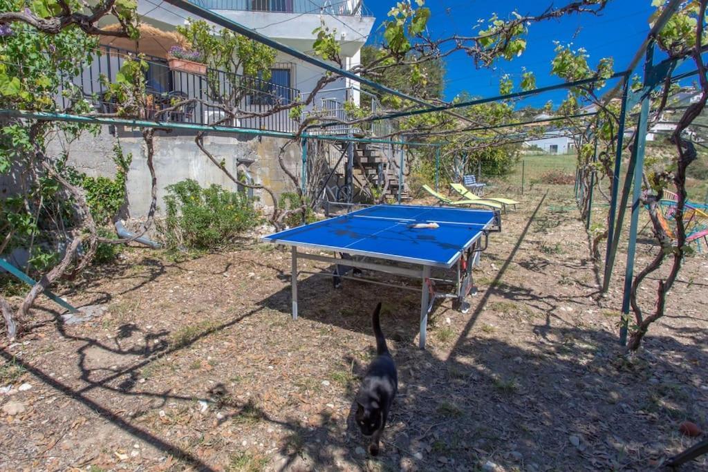 Echapee Belle - Vinayard View - Jacuzzi Bbq - Parking Apartment Nice Bagian luar foto